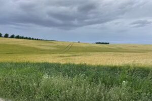 Skalmstrup Maskinstation